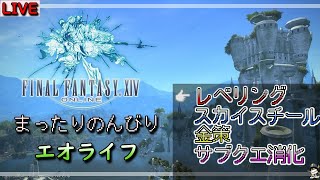 【FF14/Gaia】拡張までにオール８０間に合う！のか？