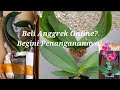 Cara Menanam/Penanganan Anggrek Beli Online Agar Tidak Mati!!!