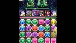 パズドラ 天元の黒龍 キルア周回PT