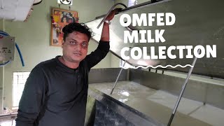 Omfed Milk Collection Center | Dairy Farmer