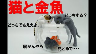 【ガチャ】キタンクラブ　猫と金魚の開封レビューです。猫に鯛を思い出させる造形でした！