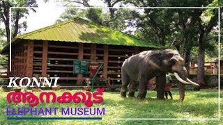 Konni Elephant Park|Konni Eco Tourism|Pathanamthitta Tourist Places|Konni Aanakoodu