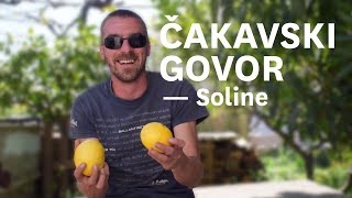 Čakavski govor Dugog otoka (Soline)