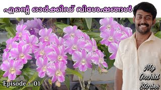 എന്റെ ഓർക്കിഡ് വിശേഷങ്ങൾ | Episode -01 | #orchid #garden