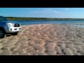 cruising chapins at low tide