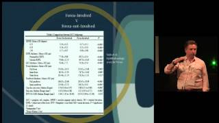 Prof Loughman, Structural, functional and MP response to carotenoids in glaucoma subjects