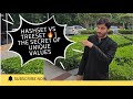 8) Java Set Collection Explained | HashSet vs TreeSet