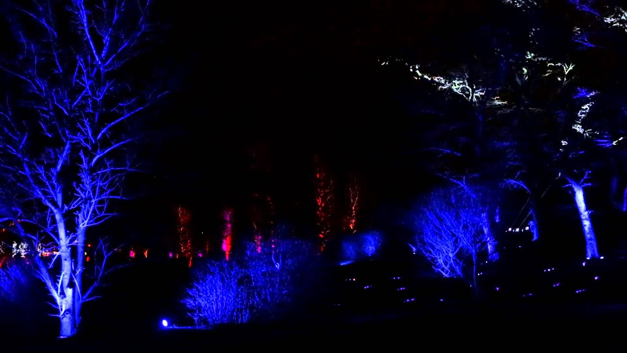 2014 ILLUMINATION - Tree Lights At The Morton Arboretum - YouTube