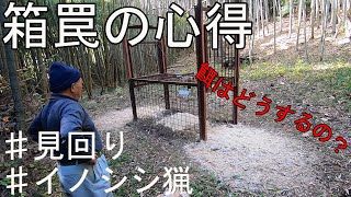 【イノシシ箱罠】大物イノシシを捕まえる為のわな猟。狩猟を始めた初心者がベテラン猟師に学ぶ「山の仕事」