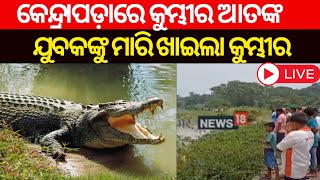 Live: କେନ୍ଦ୍ରାପଡ଼ାରେ ପୁଣି କୁମ୍ଭୀର ଆତଙ୍କ, ଟାଣିନେଲା ଯୁବକଙ୍କୁ | Crocodile attack In Kendrapara