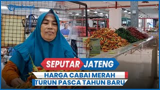 Harga Cabai Merah Turun Pasca Tahun Baru, Rawit Hijau Meroket