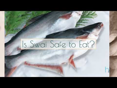 What is SWAI fish called in English?