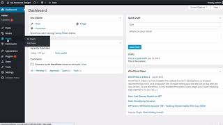 05 WordPress 101 WordPress Posts VS Pages