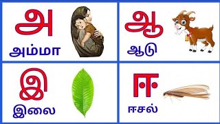 Uyir eluthukkal learn alphabet for kids / அ அம்மா ஆ ஆடு உயிர் எழுத்துக்கள்