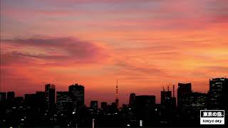 東京の空「秋は夕暮れ / In autumn the evenings」