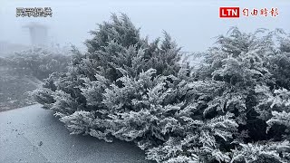 玉山連2天降雪氣象站估可能再下  玉管處籲山友當心 (民眾提供)