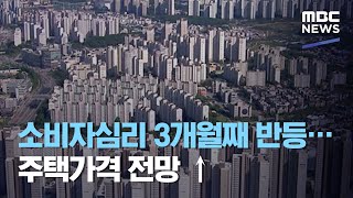 소비자심리 3개월째 반등…주택가격 전망 ↑ (2020.07.29/930MBC뉴스)