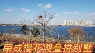 荣成樱花湖叠拼别墅 下叠一楼带大院子 上叠带270平观景阳台