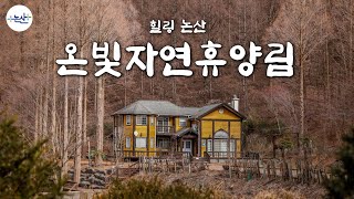 [4K] 온빛자연휴양림 : 논산 힐링 여행 (Natural Recreational Forests in Korea)