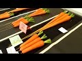 Allotment Diary : Preparing the Show Carrot Growing Boxes