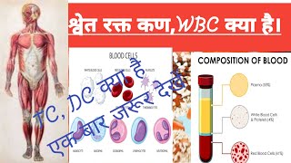 TC,DC,Kya hota hai,#viralvideo #ब्लड टेस्ट में TC,DC क्या होता है#pscdiagnosis#WBC किसे कहते हैं