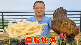 都說海南的雞好吃，阿胖山搞只土雞炖魚膠，湯鮮肉嫩名不虛傳！