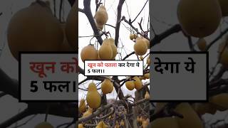 खून को पतला करने के लिए क्या खाएं। blood thinner home remedy hindi #breastcancer #short