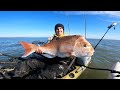 Kayak Fishing for GIANT Snapper!!