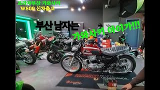 Kawasaki 부산남자가 타는 W800 신차출고 #가와사키 #W800