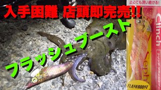 シマノの最新エギ＊クリンチ フラッシュブーストの実力!!実釣動画 in 京都府宮津市養老漁港(日本海)