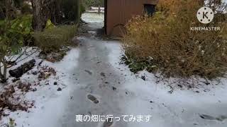 2024年12月雪が降った日の様子