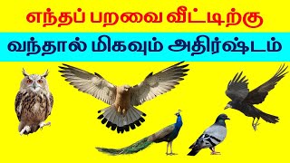 எந்தப் பறவை வீட்டிற்கு வந்தால் மிகவும் அதிர்ஷ்டம் | Indian Astrology Predictions| T Tamil Technology