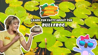 Bullfrog Facts