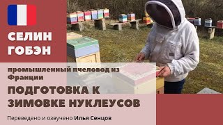 Подготовка к зимовке нуклеусов Миниплюс (Селин Гобэн, Франция)