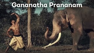 Gananatha Prananam (Elephant Salutation) | Vidyut Jammwal | Chuck Russell | Junglee