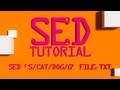 SED Numbering Lines in a File Linux Shell Tutorial BASH