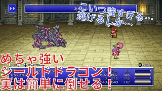 【FF5 ピクセルリマスター】シールドドラゴンは「あやつる」で楽に倒せます