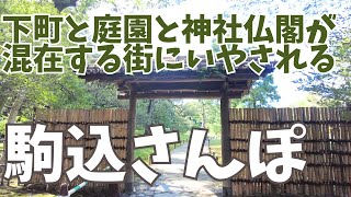 東京都文京区から豊島区散歩・白山神社から六義園・駒込　白山神社～吉祥寺～駒込天祖神社～駒込富士神社～六義園