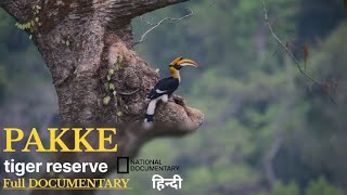 hornbill | Pakke tiger reserve | animal planet documentary | discovery channel | national Geographic
