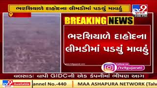 Dahod: Limdi receives unseasonal rainfall | TV9News | D31