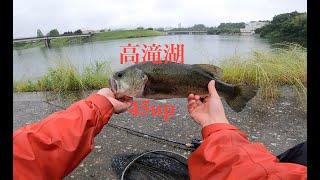 雨の高滝湖でバス釣り【高滝湖　バス釣り　バスフィッシング】