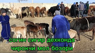 Чирокчи мол бозори 5,03,2025 согин сигир дехконда