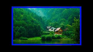 There’s something fishy about these trees … | deep look