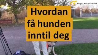 Hundeskolen episode 3