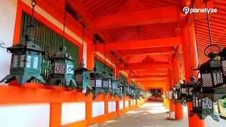 Kasuga Taisha, Nara | One Minute Japan Travel Guide