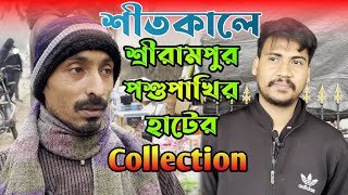 শীতকালে শ্রীরামপুর পশু পাখির হাটের collection | Serampore Aquarium Fish Market