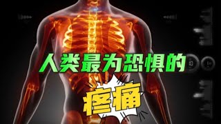 人类最为恐惧的五种疼痛感，看完视频颠覆认知！