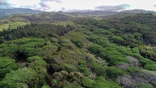 Makali'i Plantation | Kalaheo, Kauai, HI