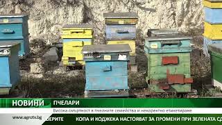 Висока смъртност в пчелните семейства и некоректно етикетиране