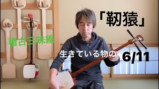 長唄三味線「靭猿」生きてゐる物の皮が  6/11【稽古三味線で演奏】shamisen